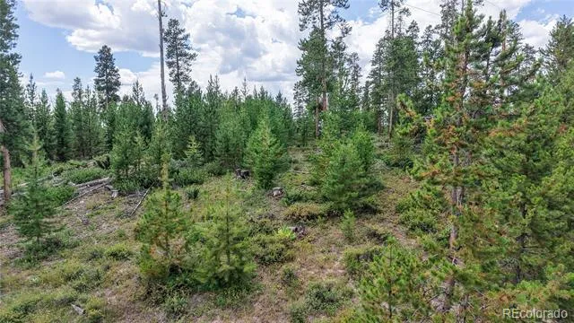 90 County Road 452 Grand Lake, CO 80447