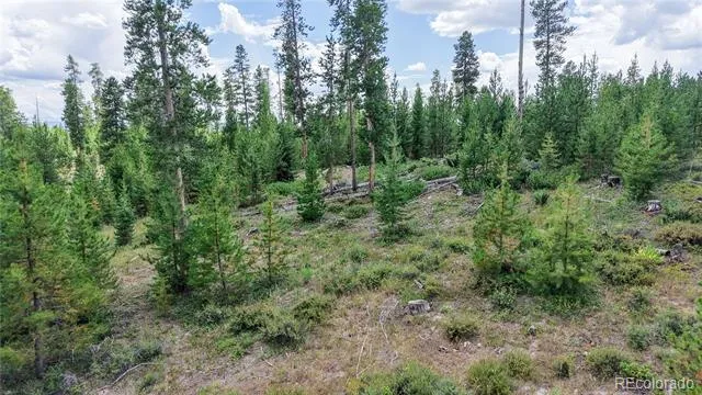 90 County Road 452 Grand Lake, CO 80447