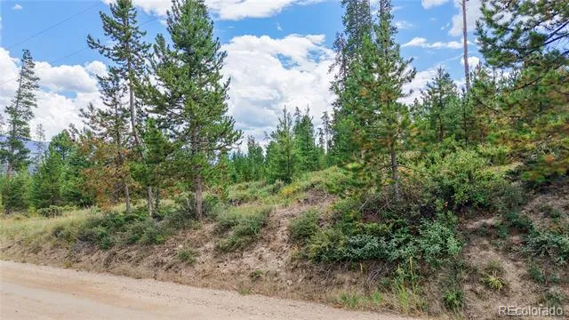 90 County Road 452 Grand Lake, CO 80447