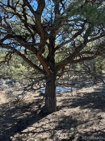 TBD Wildhorse Drive San Luis, CO 81152