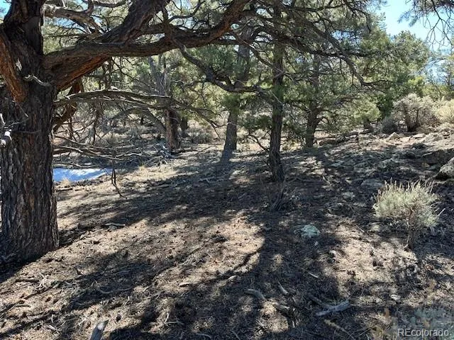 TBD Wildhorse Drive San Luis, CO 81152