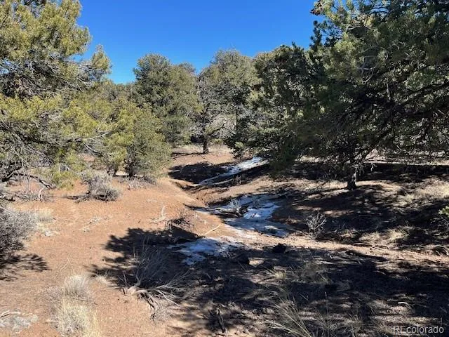 TBD Wildhorse Drive San Luis, CO 81152