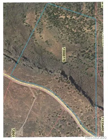 TBD Wildhorse Drive San Luis, CO 81152