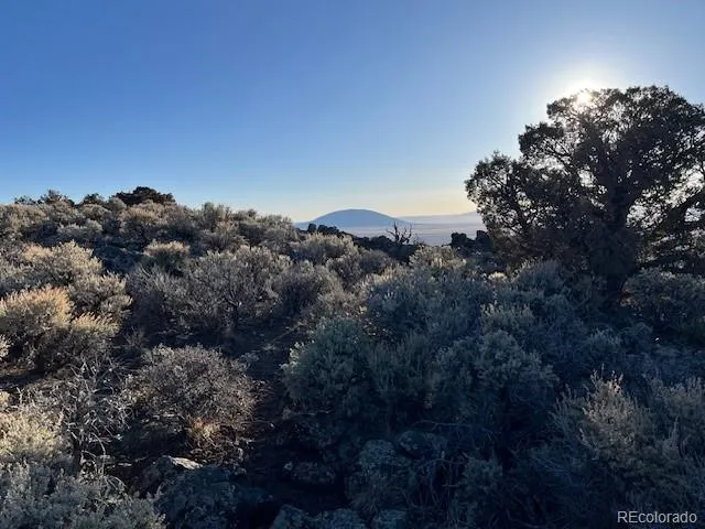 TBD Wildhorse Drive San Luis, CO 81152