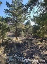 148 Lake Of The Falls Parkway Mosca, CO 81146