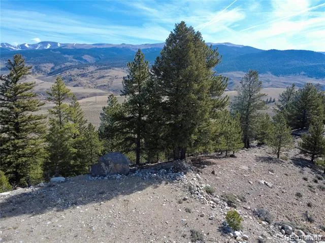 98 Northview Drive Twin Lakes, CO 81251
