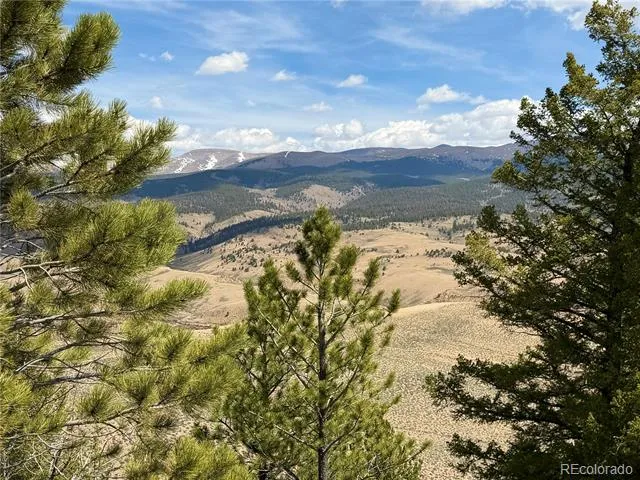 98 Northview Drive Twin Lakes, CO 81251