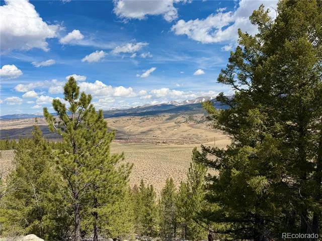 98 Northview Drive Twin Lakes, CO 81251