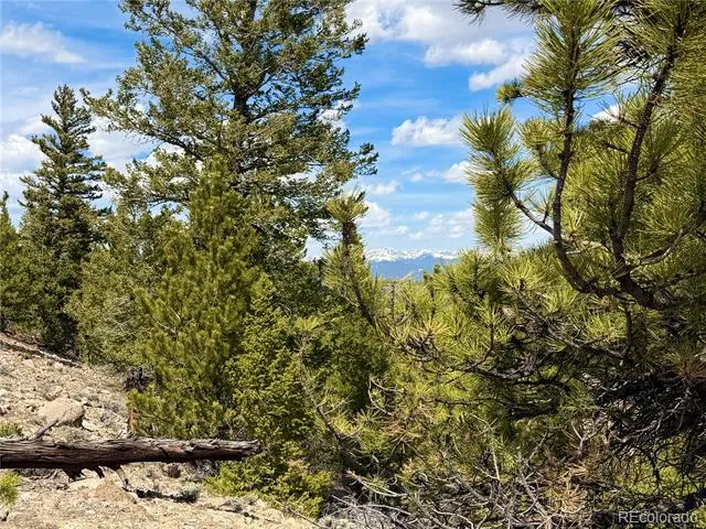 98 Northview Drive Twin Lakes, CO 81251