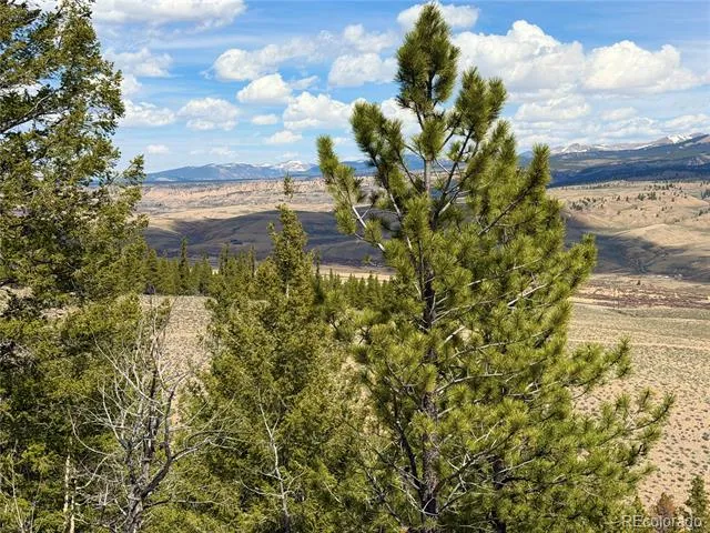 98 Northview Drive Twin Lakes, CO 81251