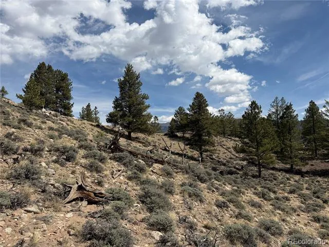 98 Northview Drive Twin Lakes, CO 81251