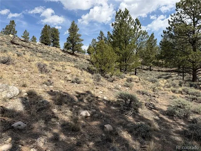 98 Northview Drive Twin Lakes, CO 81251
