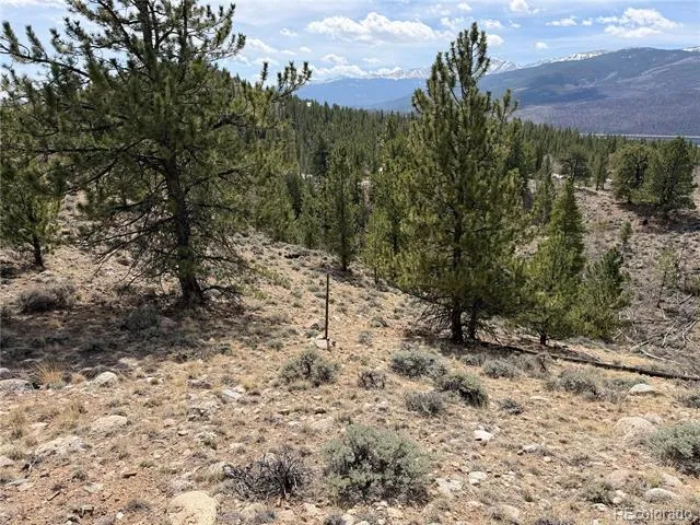 98 Northview Drive Twin Lakes, CO 81251