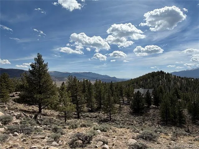 98 Northview Drive Twin Lakes, CO 81251