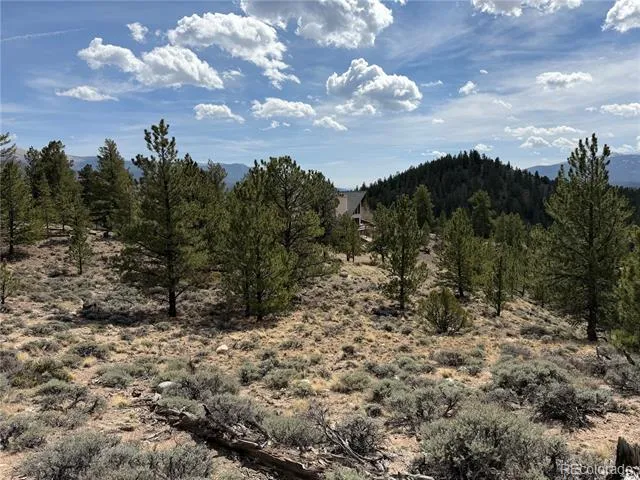 98 Northview Drive Twin Lakes, CO 81251