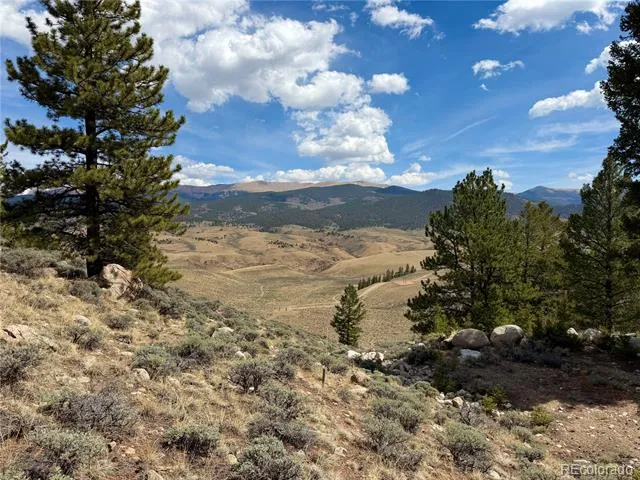 98 Northview Drive Twin Lakes, CO 81251