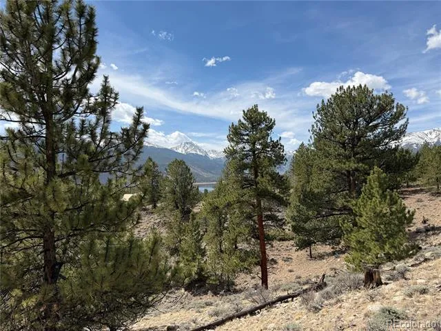 98 Northview Drive Twin Lakes, CO 81251