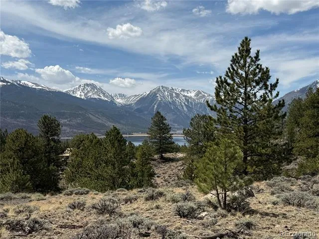 98 Northview Drive Twin Lakes, CO 81251