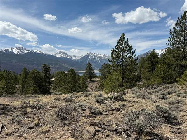 98 Northview Drive Twin Lakes, CO 81251