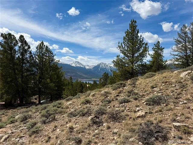 98 Northview Drive Twin Lakes, CO 81251