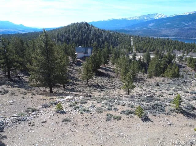 98 Northview Drive Twin Lakes, CO 81251