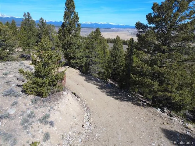 98 Northview Drive Twin Lakes, CO 81251