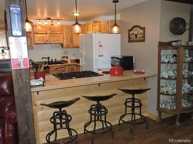 2137 Riccardo Lane Fort Garland, CO 81133