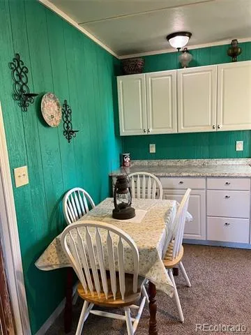 2137 Riccardo Lane Fort Garland, CO 81133