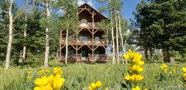 2137 Riccardo Lane Fort Garland, CO 81133