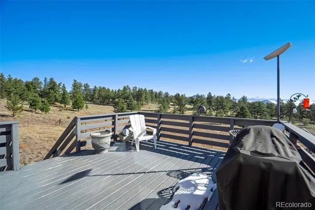 201 Terry Lane Guffey, CO 80820