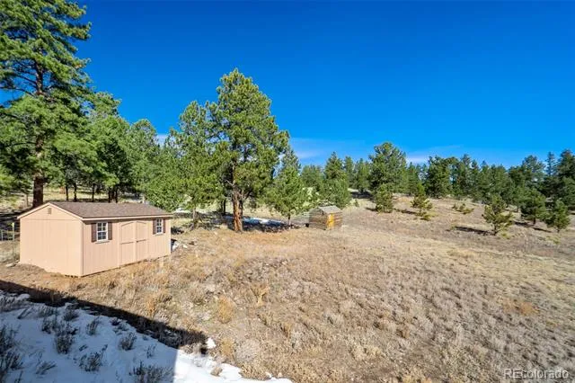 201 Terry Lane Guffey, CO 80820