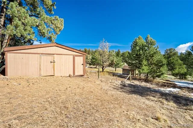 201 Terry Lane Guffey, CO 80820