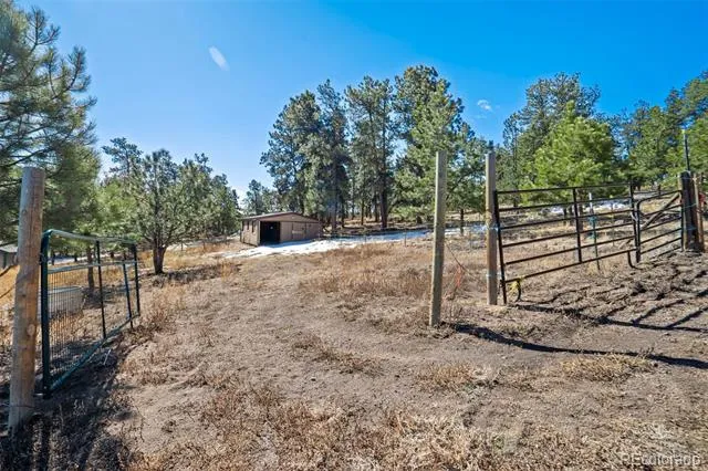 201 Terry Lane Guffey, CO 80820