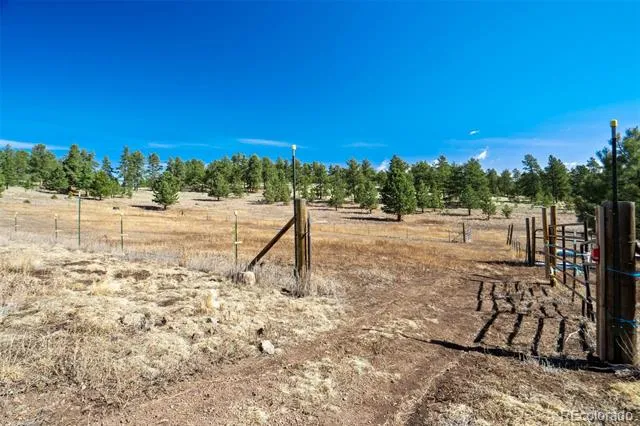 201 Terry Lane Guffey, CO 80820
