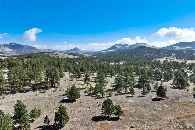 201 Terry Lane Guffey, CO 80820