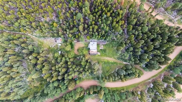 11173 S Barney Gulch Road Conifer, CO 80433
