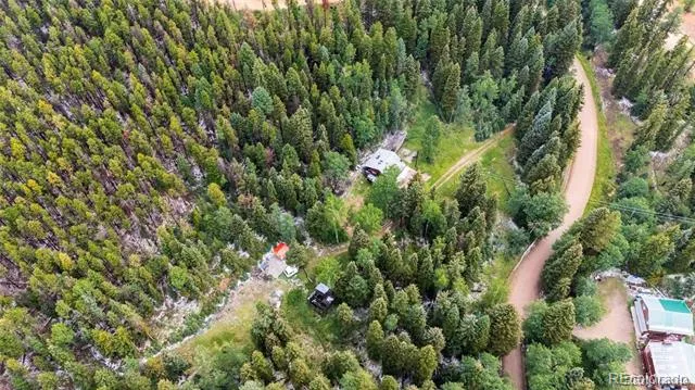 11173 S Barney Gulch Road Conifer, CO 80433