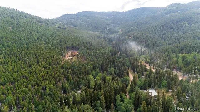 11173 S Barney Gulch Road Conifer, CO 80433