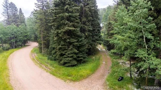 11173 S Barney Gulch Road Conifer, CO 80433