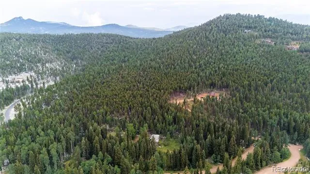 11173 S Barney Gulch Road Conifer, CO 80433