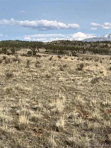 1441 Longbow Drive Como, CO 80432