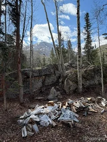 25981 County Road 162 E Nathrop, CO 81236