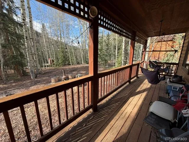 25981 County Road 162 E Nathrop, CO 81236