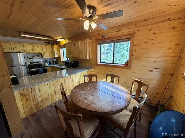 25981 County Road 162 E Nathrop, CO 81236