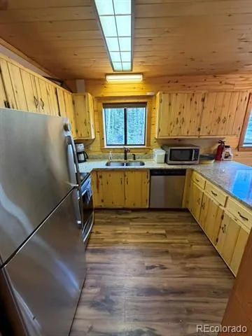 25981 County Road 162 E Nathrop, CO 81236