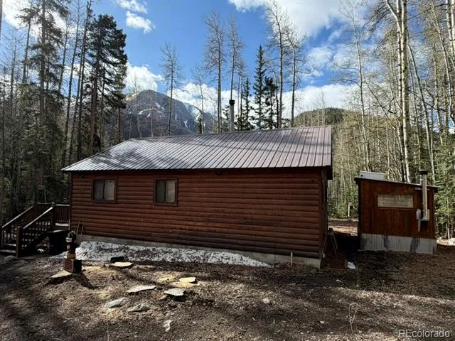 25981 County Road 162 E Nathrop, CO 81236