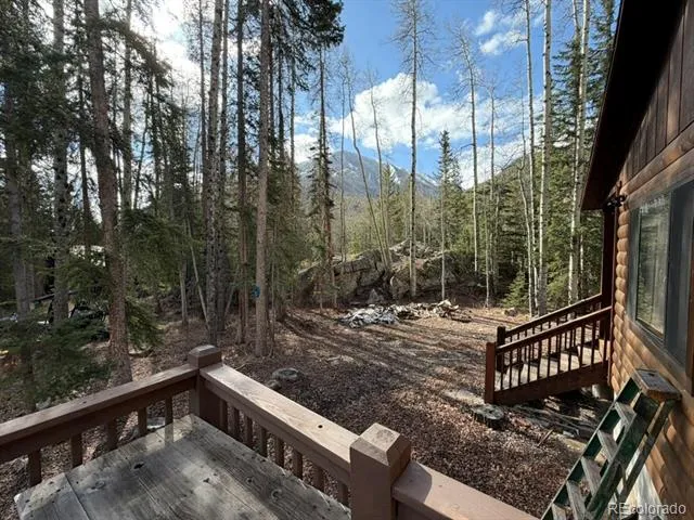 25981 County Road 162 E Nathrop, CO 81236