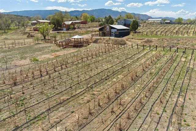1704 Willow Street Canon City, CO 81212