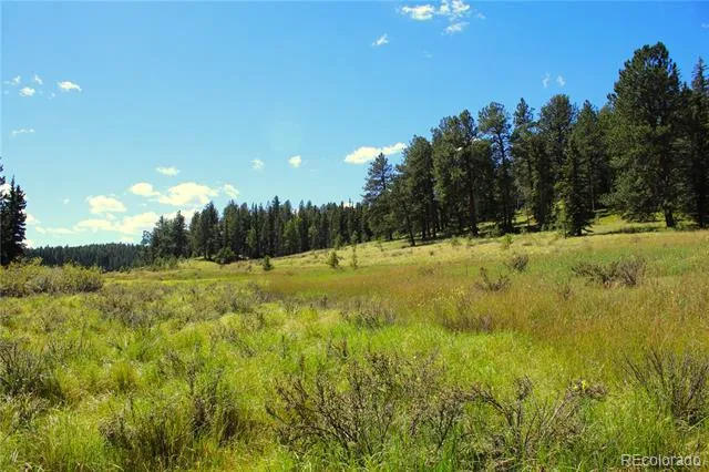 Address Not Shown Divide, CO 80814