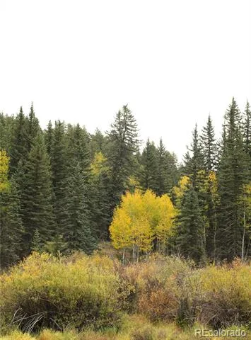 Address Not Shown Divide, CO 80814